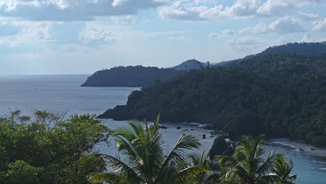 Aerial-riser-from-behind-palm-trees-reveals-remote-tropical-Caribbean-coastline