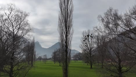 Schlanke-Silhouetten-Von-Blattlosen-Bäumen-Vor-Der-Kulisse-Der-Schweizer-Berge