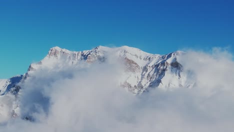 La-Niebla-Nevada-Oculta-Las-Siluetas-De-Los-Pinos-De-Montaña.