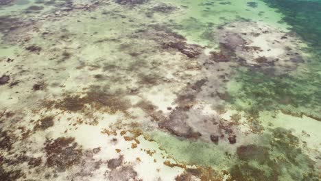 Aerial-top-down-coral-reef-Los-Roques-Archipelago,-tilt-up-reveal-stunning-landscape