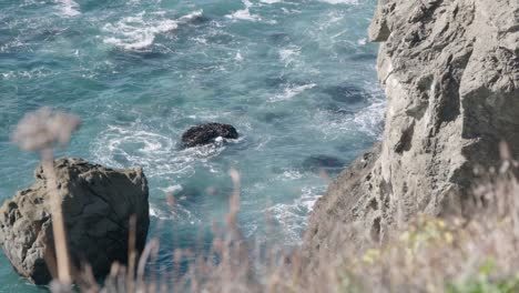 Water-crashing-into-rocks-and-cliffs-behind-brush-in-foreground