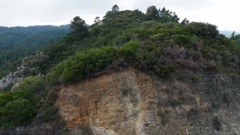 Upwards-moving-shot-revealing-a-forrest-on-a-mountain-starting-from-a-cliff