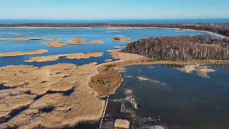 Wooden-Bords-Trail-Through-the-Kaniera-Lake-Reeds-Aerial-Spring-Shot-Lapmezciems,-Latvia