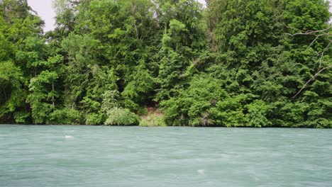 River-with-trees-in-background