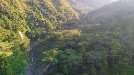 Aerial-landscape-view-over-a-creek-flowing-through-the-Amazon-Rainforest-lush-vegetation,-in-Colombia,-on-a-misty-morning