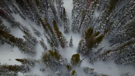 Ojo-De-Pájaro-Nevado-Paso-De-Berthoud-Invierno-Parque-Bosque-Nacional-Escénico-Paisaje-Vista-Aérea-Drone-Travesía-Esquí-Snowboard-Berthod-Jones-Colorado-Montañas-Rocosas-Picos-Alta-Elevación-Abajo-Pan-Movimiento