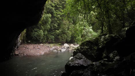 Static-view-of-Cave-Creek-from-inside-Natural-Arch-Cave,-Natural-Bridge,-Springbrook-National-Park