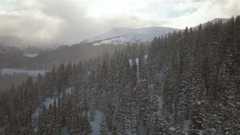 Winter-Park-Berthoud-Pass-deep-snow-powder-aerial-drone-high-elevation-Berthod-Jones-snowy-afternoon-sunset-Colorado-Rocky-Mountains-Peak-forest-forward-motion