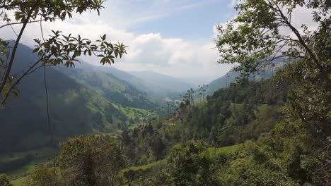 Malerischer-Blick-Auf-üppiges-Grün-Und-Das-Cocora-Tal-In-Kolumbien