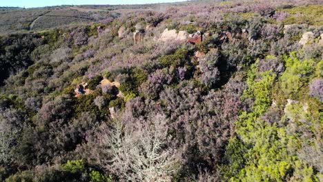 Dolly-above-overgrown-Os-Biocos-mines-in-San-Xoan-de-Rio-Ourense-Spain-countryside