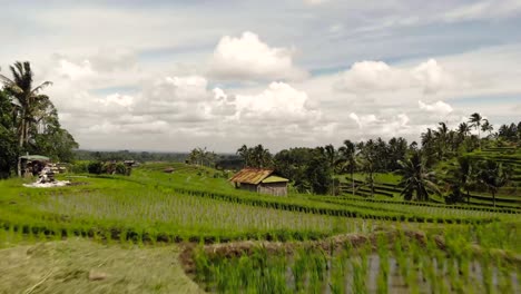 Landwirtschaftlicher-Reisanbau-Durch-Geschwungene-Terrassen-Auf-Einem-Hügel-Und-Deren-Flutung-Mit-Wasser