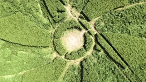 Broad-Hilton-barley-crop-circle-intricate-spiral-pattern-aerial-rising-view-over-rural-Wiltshire-field