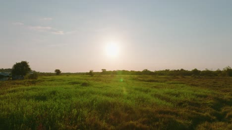 Sonnenuntergang-über-üppigem-Grünen-Feld-In-Arauca,-Kolumbien-Mit-Warmem-Licht