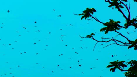 Tema-De-Terror,-Bandada-De-Pájaros-Nerviosos-Volando-Sobre-Fondo-Azul-Oscuro-Con-árbol