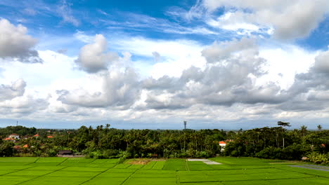 Beautiful-hyperlapse-panning-view,-Balinese-landscape,-nature-and-farmland