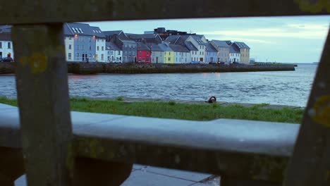 Smooth-slow-motion-unveils-the-iconic-"Long-Walk"-Galway-City-Centre