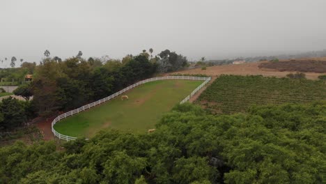 Establecimiento-De-Un-Paso-Elevado-De-Un-Camino-Cubierto-De-árboles-Y-Un-Camino-De-Entrada-A-Los-Caballos-En-Los-Establos-De-Malibu