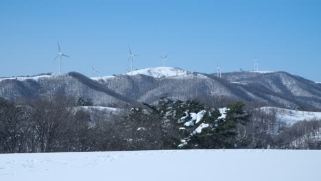 Wind-turbines-rotating-slowly-on-hill-at-Daegwallyeong-Sky-Ranch,-Korea
