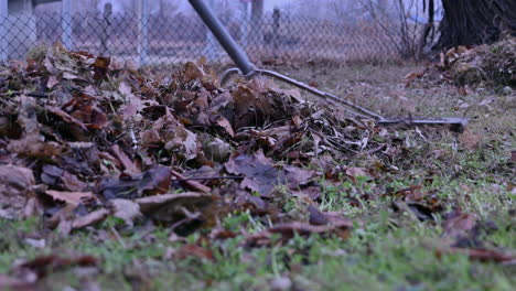 Armonía-En-El-Patio-Trasero:-El-Arte-De-Rastrillar-Las-Hojas.