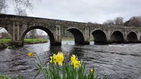 Puente-Inistioge-En-Primavera-Con-El-Río-Inundado-Nore-Y-El-Coche-Pasando-Por-El-Puente