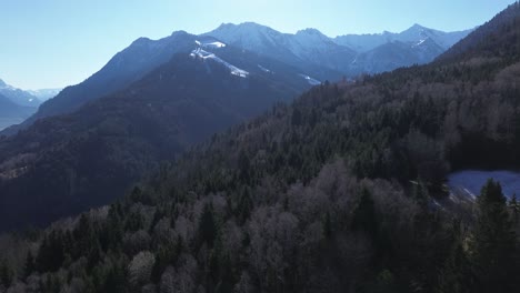Luftaufnahme-Eines-Kiefernwaldes-Mit-Schneebedeckten-Bergen-Im-Hintergrund-An-Einem-Sonnigen-Tag-Ohne-Wolken
