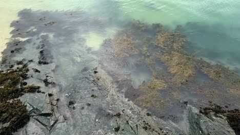 Looking-down-at-clear-turquoise-submerged-rocky-reef-and-rippling-transparent-waves-on-idyllic-bay-edge