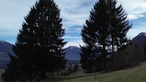 Eine-Drohne-Fliegt-Zwischen-Zwei-Kiefern-Hindurch-Und-Bietet-Einen-Atemberaubenden-Blick-über-Die-Verschneite-Berglandschaft-Und-Das-Stadtbild-In-Vorarlberg,-Österreich