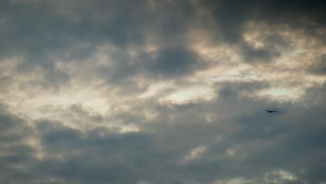 Launische-Sonnenuntergangswolken-Mit-Vogelsilhouette,-Statische-Aufnahme-Mit-Copyspace
