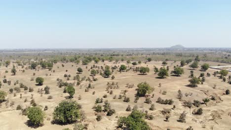 Aerial-shot-of-dry-barren-land-in-Jharkhand-with-very-less-trees-and-mountain-in-the-background