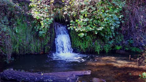 Waterfall-in-the-forest-next-to-a-stream-and-a-fallen-tree