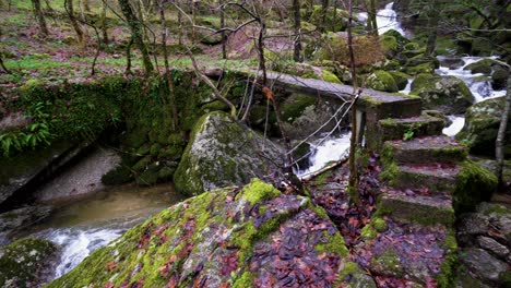Rustic-stream-amid-mossy-foliage-in-Barrias,-Felgueiras-Portugal---panoramic-view