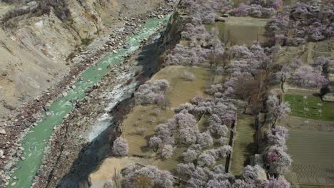 Drone-shot-of-JSR-Road-with-river-flowing-beside-it-on-cherry-blossom-season-in-Skardu,-Pakistan