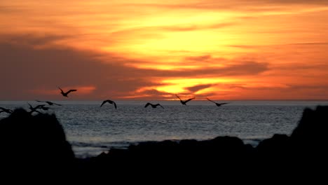Dramatic-sunset-with-vibrant-hues-casting-over-calm-sea,-silhouetted-birds-in-flight