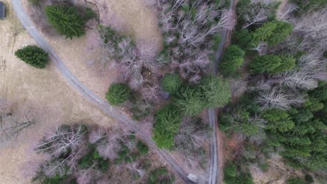 Draufsicht-Auf-Eine-Einzelne-Straße,-Die-Sich-In-Zwei-Straßen-Aufspaltet,-Drohnenaufnahme-Einer-Straße,-Die-Von-Einem-Kiefernwald-Mit-Einer-Kleinen-Hütte-Und-Einem-See-Umgeben-Ist