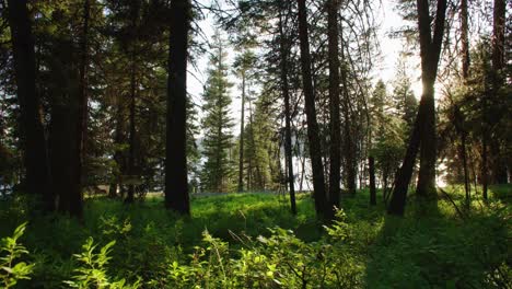 SUV-drives-along-beautiful-lakeside-road-bordering-Payette-Lake-Idaho