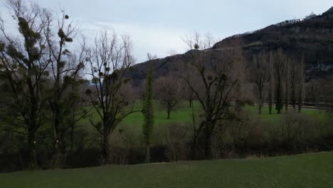 Aufstieg-über-Grasfeld-Und-Flussufer-Blattlose-Bäume-In-Reihen-Gepflanzt,-Seewasser-In-Der-Ferne