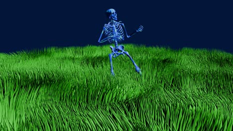 Skelett-Spielt-Gitarre---Grünes-Gras-