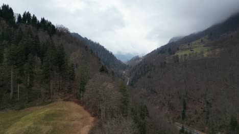 Pradera-Cubierta-De-Hierba-Contra-El-Borde-Del-Dosel-De-Los-árboles-Del-Bosque-En-Invierno-Y-Sinuosa-Carretera-De-Montaña-En-La-Base-Del-Valle