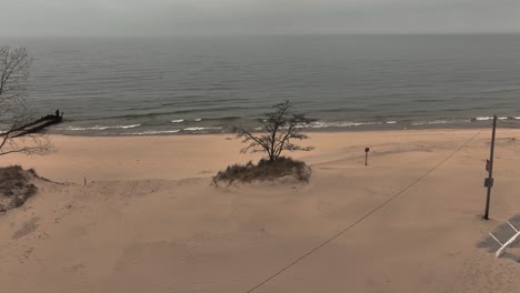 Ein-Einsamer-Baum-An-Einem-Winterstrand