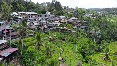 Balinese-town-blending-into-natural-environment-with-rice-terraces-and-palm-trees-on-hillside,-slope,-aerial-dolly-in,-forward