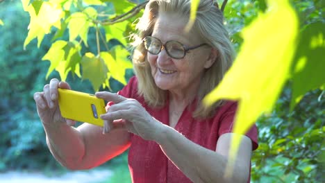 Abuela-Sonriendo-En-Videollamada-Con-Familia-En-El-Jardín