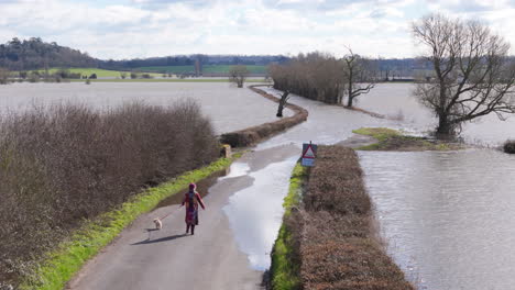 Pensionista-Pasea-Con-Su-Perro-Con-Correa-En-Una-Carretera-Rural-Inundada,-Aérea