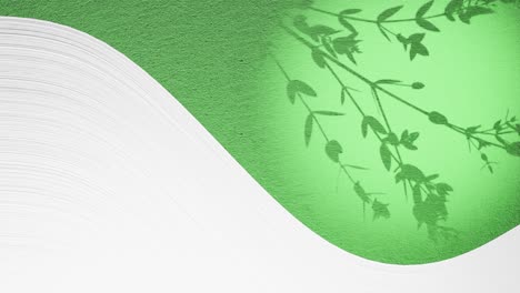 Grafik-Kunst-Animation-Eines-Geteilten-Bildschirms-Mit-Leerem-Weißen-Raum-Und-Einer-Blumenpflanze,-Die-Sich-In-Einer-Sanften-Sommerbrise-Auf-Einer-Grünen-Tropfenform-Bewegt