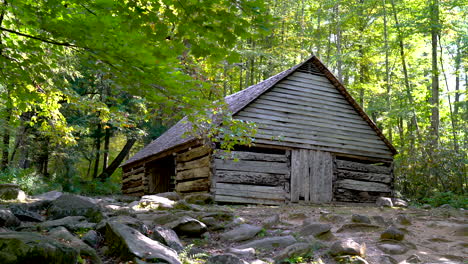 Antike-Blockhütte-Scheune-Im-Wald