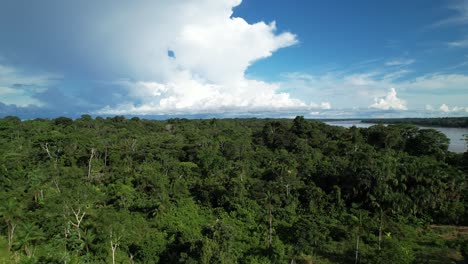 Die-Ufer-Des-Amazonas-In-Kolumbien