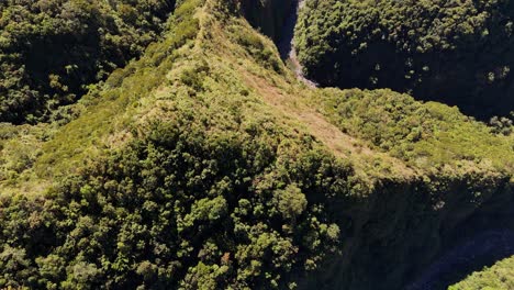Top-down-drone-footage-of-a-valley-with-jungle-in-Luzon,-north-Philippines