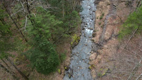 Aerial-static-view-of-water-flowing-between-boulders-past-mossy-riverbanks-and-evergreen-trees