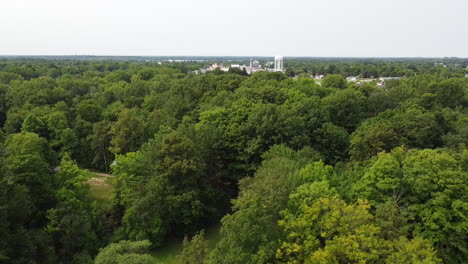 forest-over-Drone-aerial-footage-fremont-michigan-park-in-nature