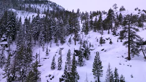 Aerial-view-of-Desolation-Wilderness-landscape,-Lake-Tahoe,-California