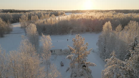 Idílica-Casa-Nórdica-Detrás-De-Copas-De-árboles-Nevadas-En-El-Bosque-De-Invierno,-Sol-Frío